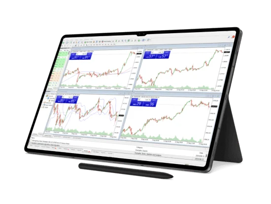 MetaTrader 4 account access and account type overview